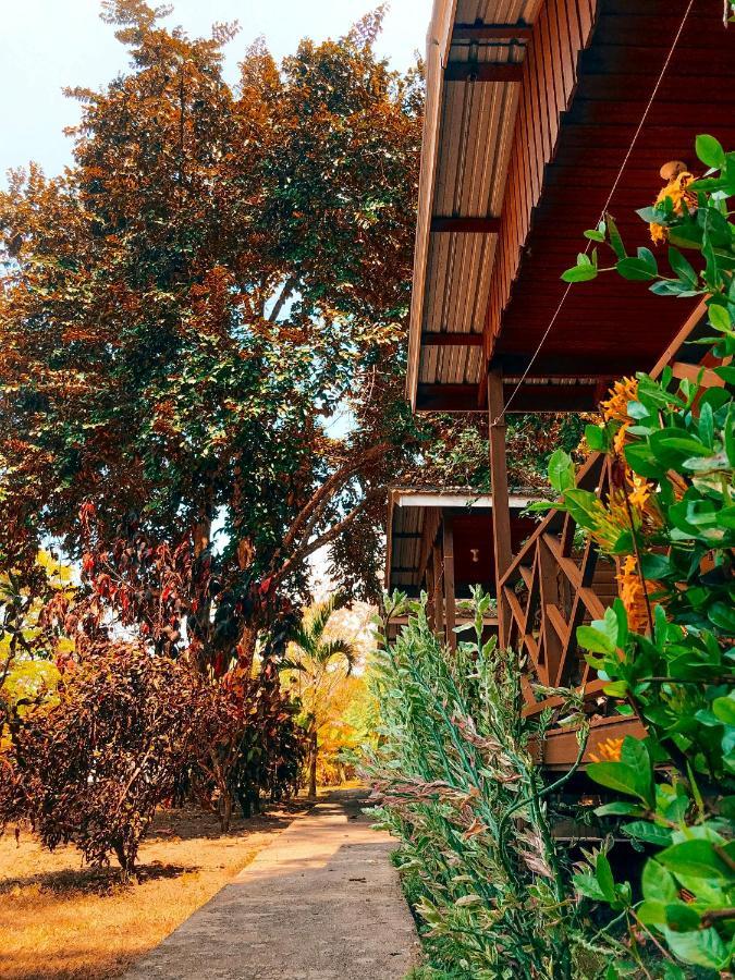 Mana Kai Camping & Cabins سان إجناسيو المظهر الخارجي الصورة