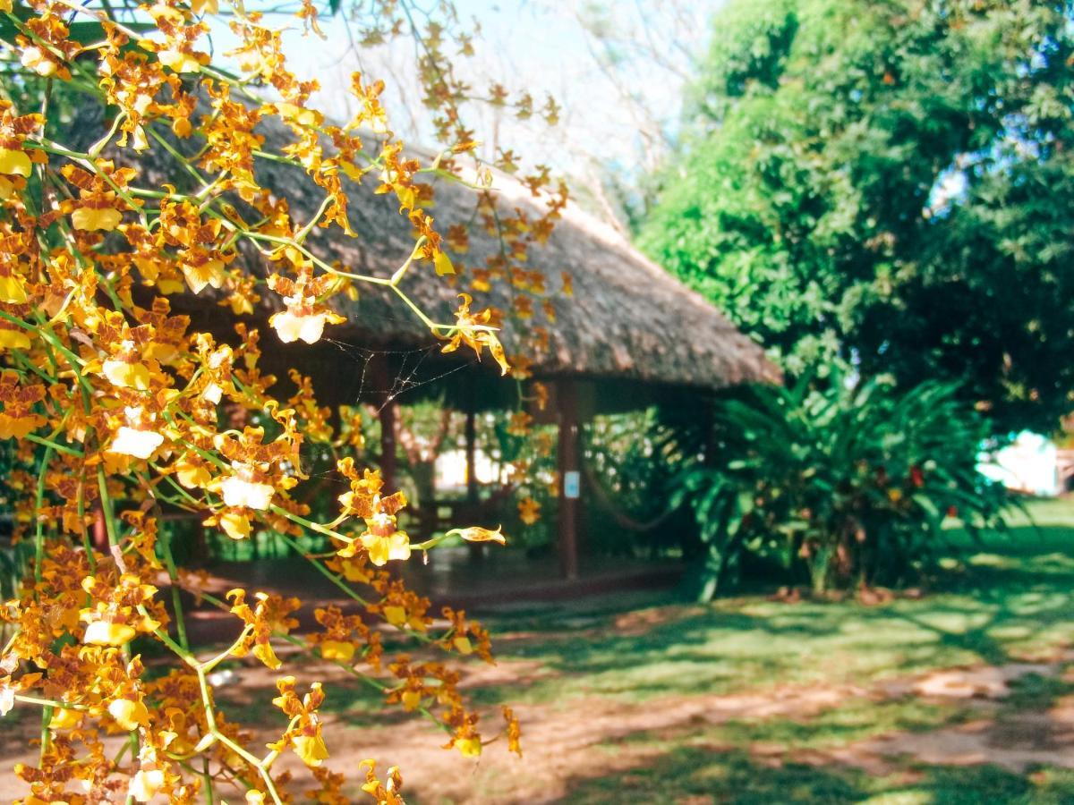Mana Kai Camping & Cabins سان إجناسيو المظهر الخارجي الصورة